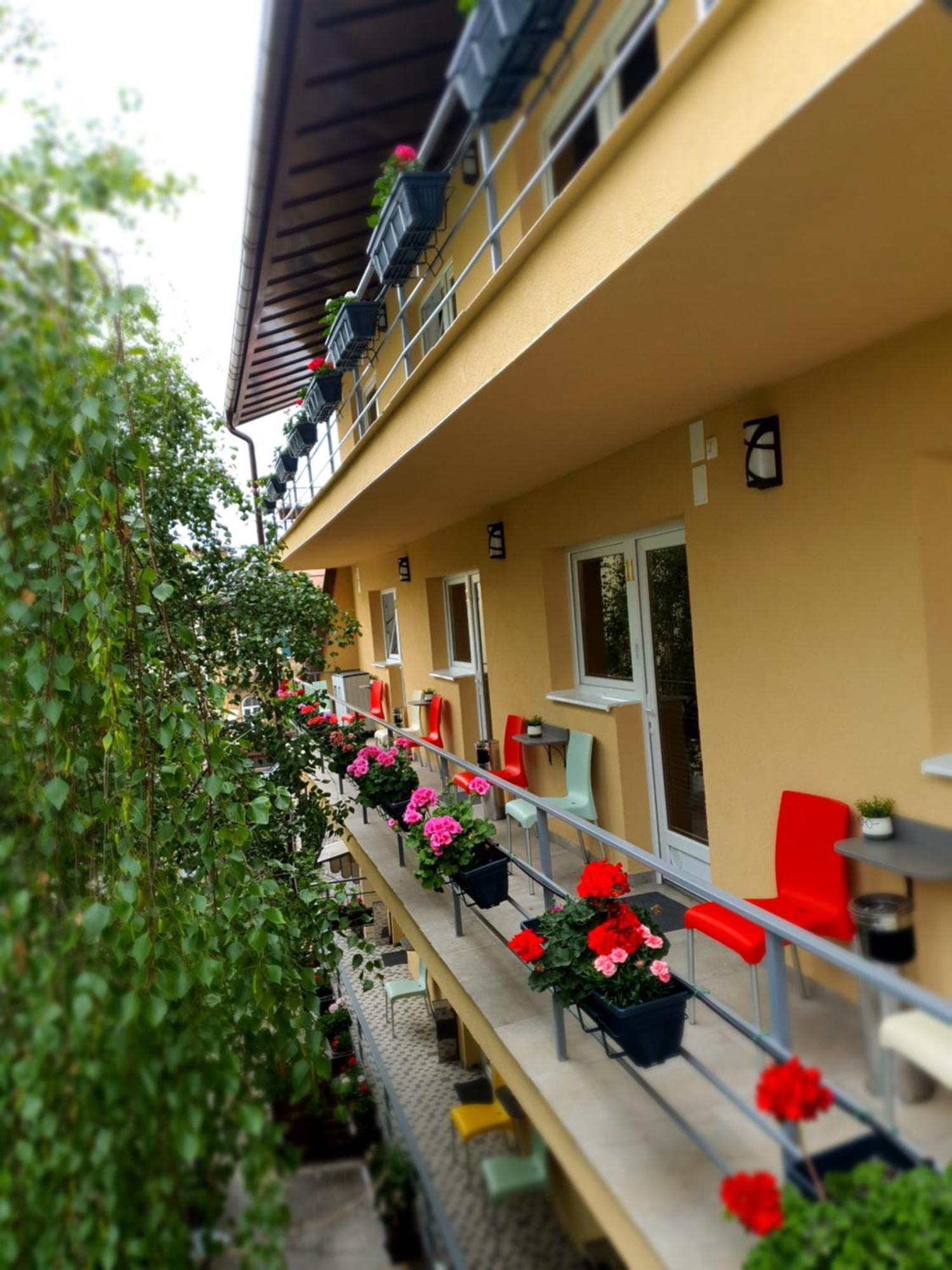 Vila Sia Bucharest Exterior photo